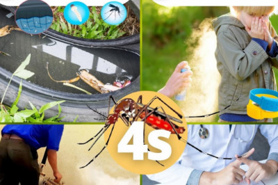 Davao City steps up drive vs dengue