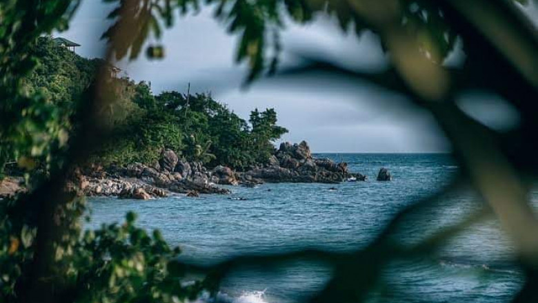 Verse of the Day | June 29