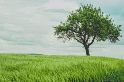 Verse of the Day | July 7