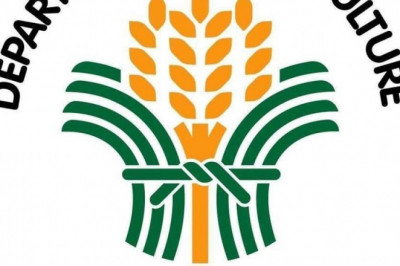 Dinagat Farmers Receive ₱41 Million Support from DA