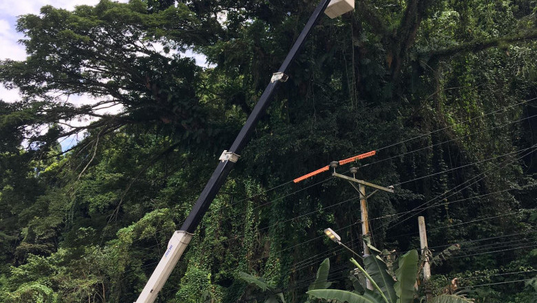 Davao Light sends team to clear obstructions in power lines