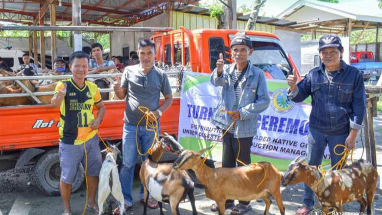 Agriculture ministry sends livestock aid to farmers hit by flood