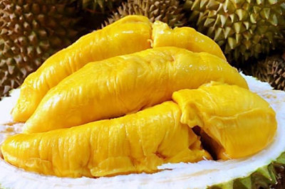 Davao City faces durian supply shortage
