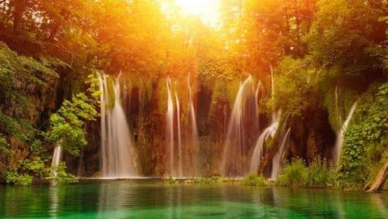 Verse of the Day | August 7