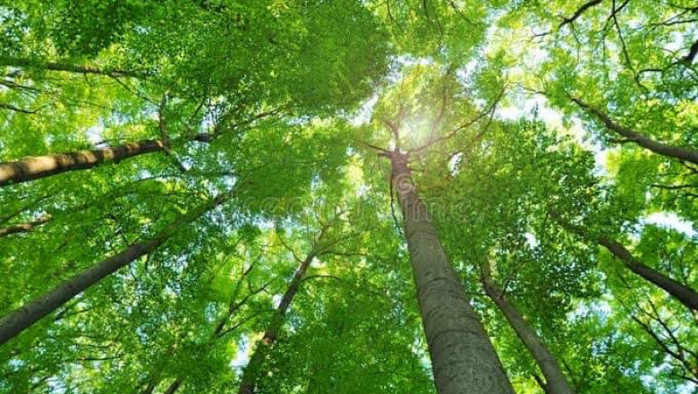 Verse of the Day | August 10