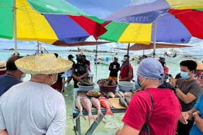 Tourist arrivals in Bohol up 52%
