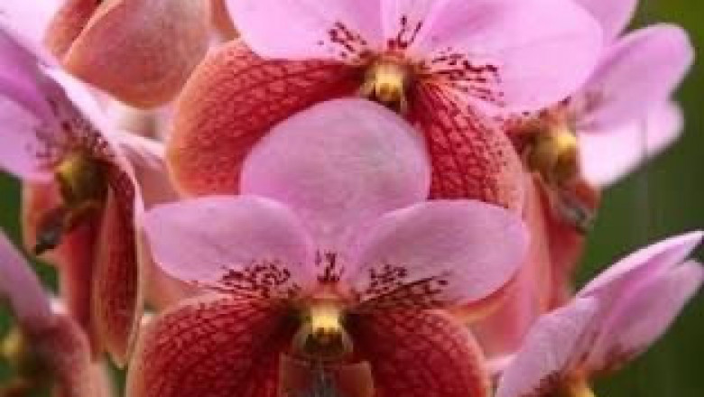 Verse of the Day | August 17