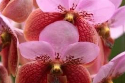 Verse of the Day | August 19