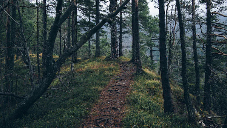 Verse of the Day | August 24