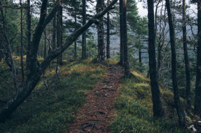 Verse of the Day | August 24