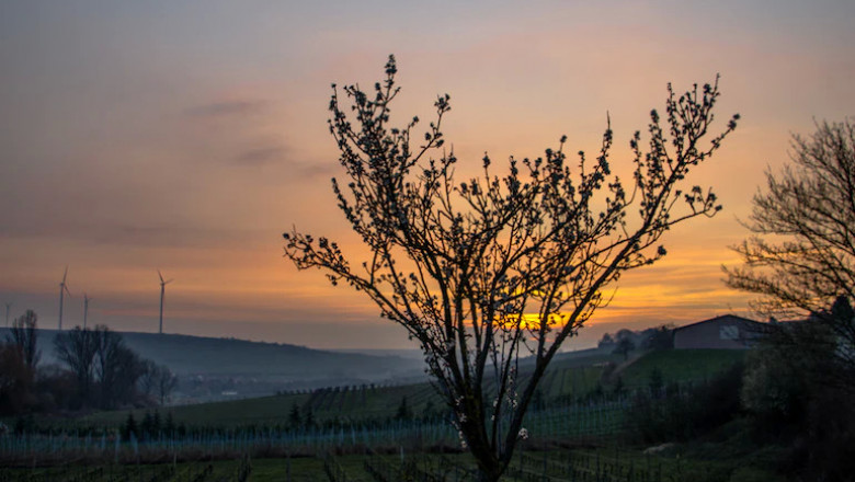 Verse of the Day | August 25