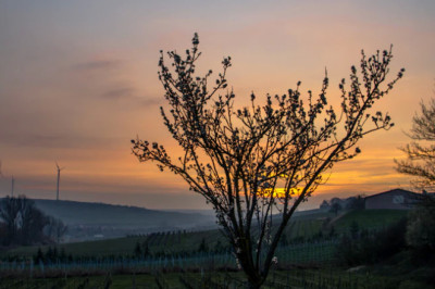 Verse of the Day | August 25