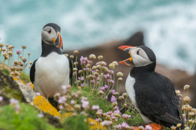 Verse of the Day | August 26