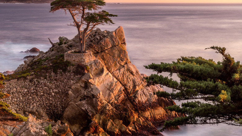 Verse of the Day | August 28