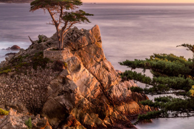 Verse of the Day | August 28