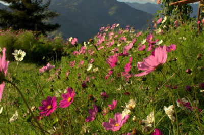 Verse of the Day | August 30