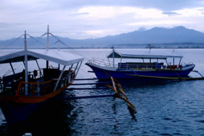 BFAR-11 lifts closed season in Davao Gulf
