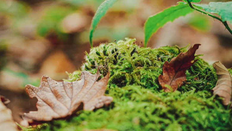 Verse of the Day | September 2