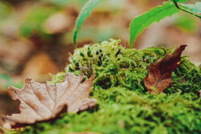 Verse of the Day | September 2