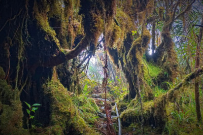 DENR eyes Pantaron Mountain Range in Davao del Norte as protected area