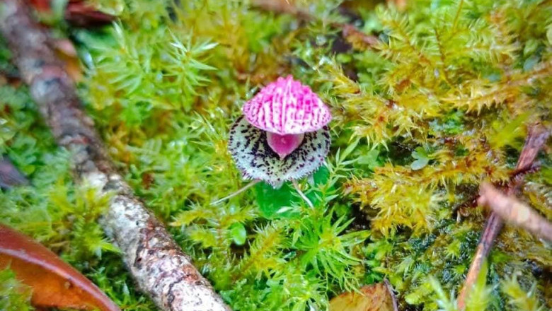 Verse of the Day | September 9