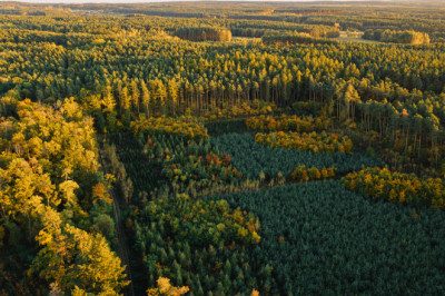 Verse of the Day | October 1