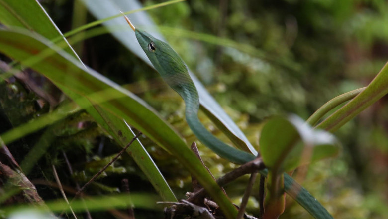 Verse of the Day | October 3