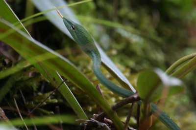 Verse of the Day | October 3