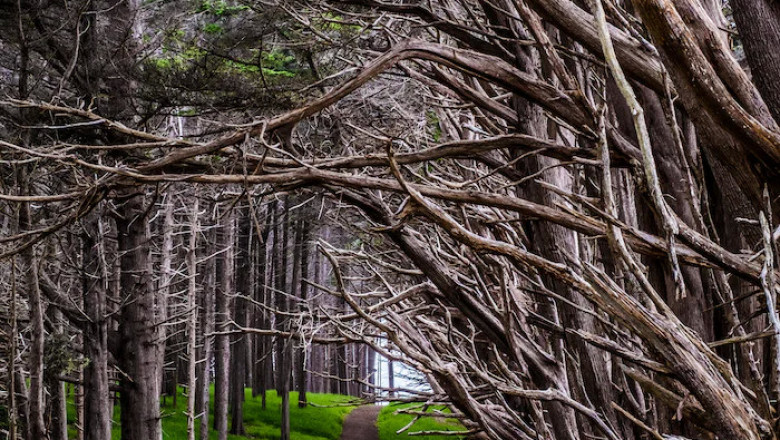 Verse of the Day | October 6