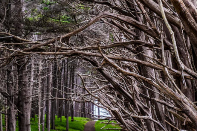 Verse of the Day | October 6