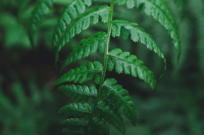 Verse of the Day | October 7