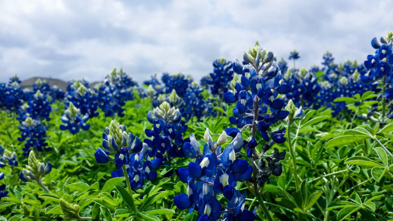 Verse of the Day | October 9