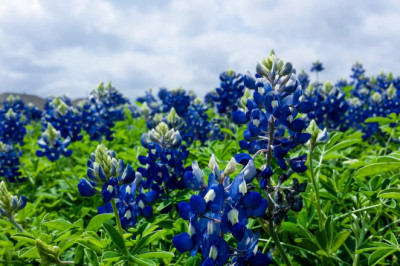 Verse of the Day | October 9