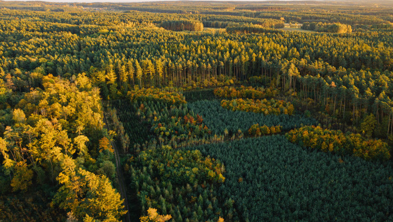 Verse of the Day | October 14