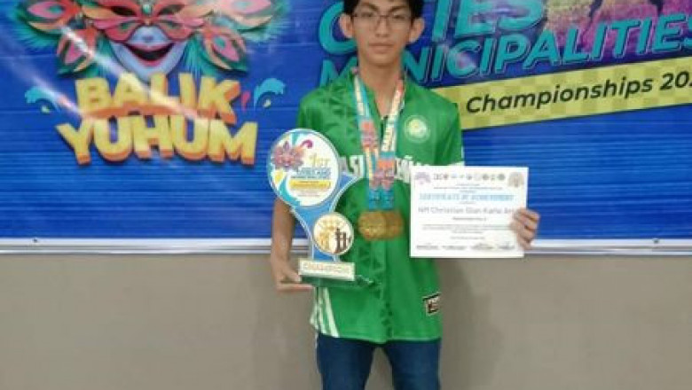 Panaboan gets gold medal in Masskara Festival Team Chess Championships