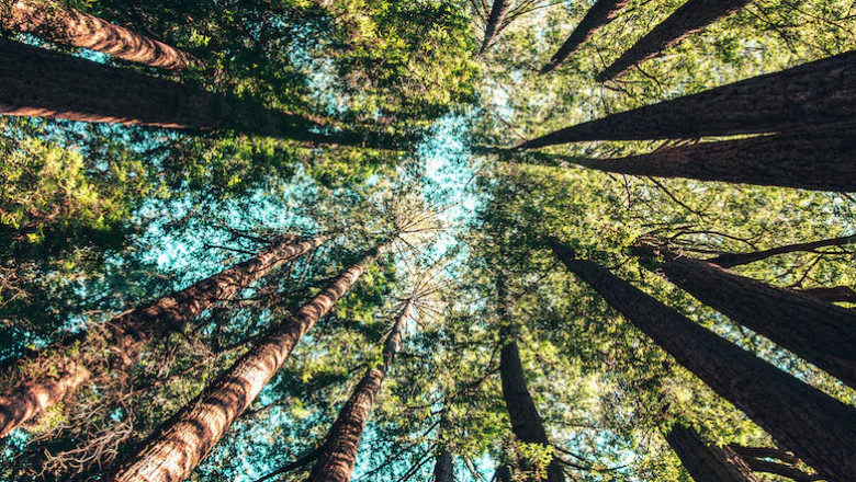 Verse of the Day | October 19