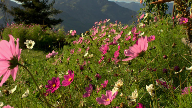 Verse of the Day | October 25