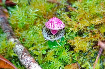 Verse of the Day | October 29