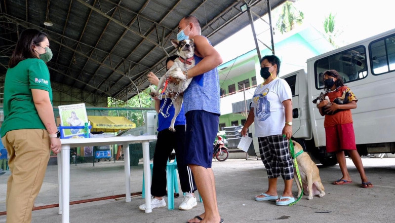Davao City steps up animal anti-rabies vaccination