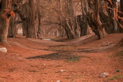 Verse of the Day: February 10
