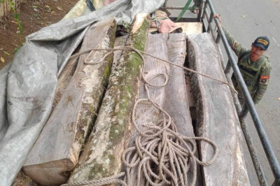 Illegal lumber, firearms seized at Davao City checkpoints