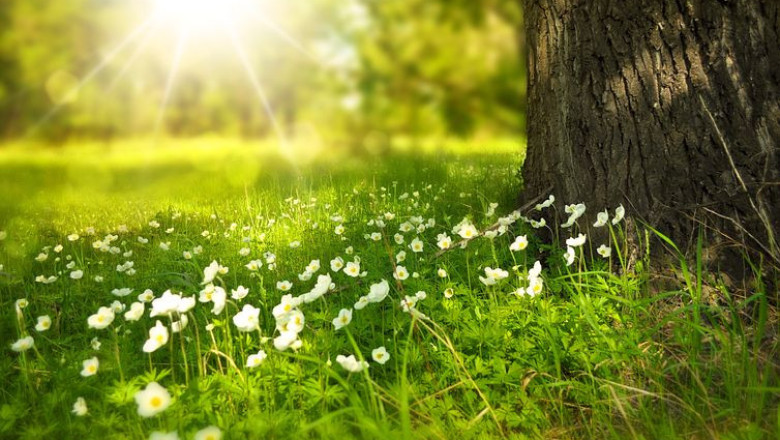 Verse of the Day | April 4, 2023