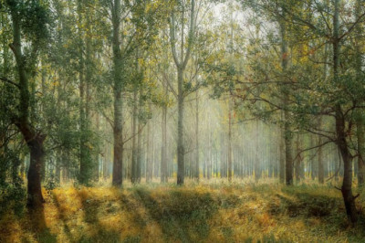 Verse of the Day | April 28, 2023