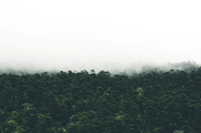 Verse of the Day | May 15, 2023