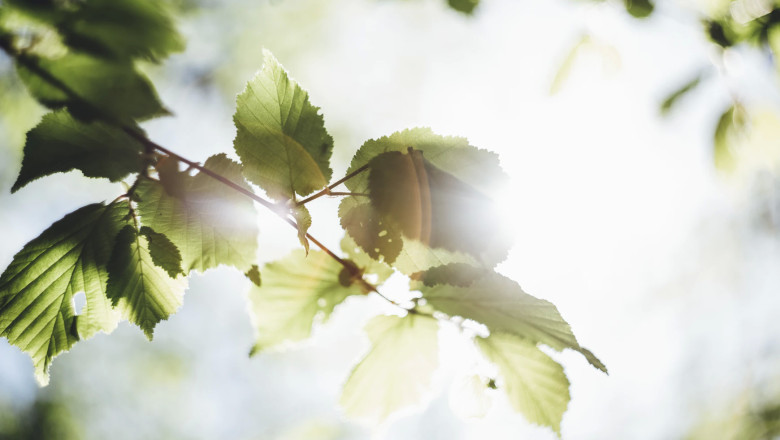 Verse of the Day | May 17, 2023