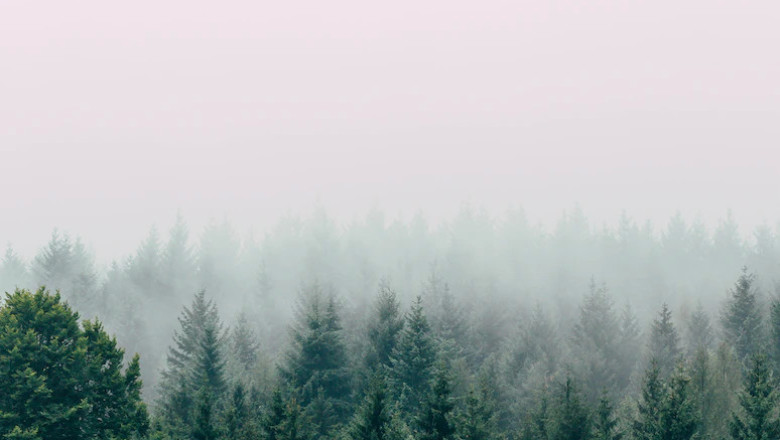 Verse of the Day | May 31, 2023