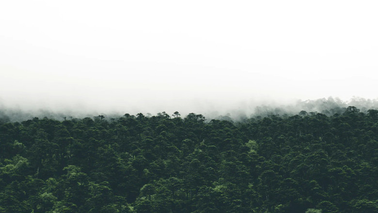 Verse of the Day | June 1,2023