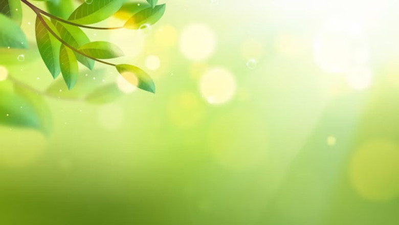 Verse of the Day | June 9, 2023