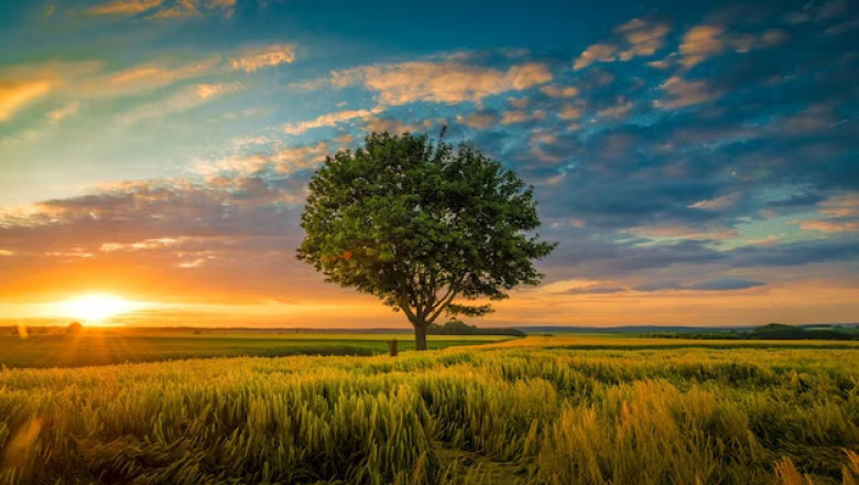 Verse of the Day | June 13, 2023