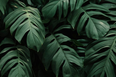 Verse of the Day | June 25, 2023